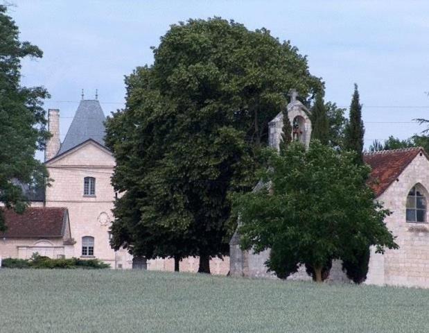 图尔 Chateau De Charge酒店 外观 照片